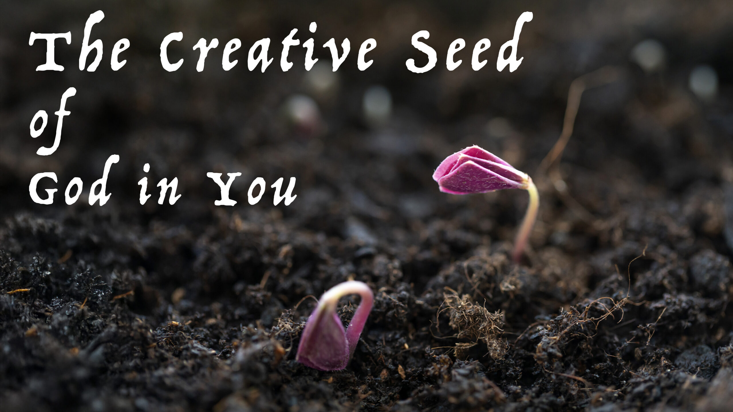 The Creative Seed of God in You